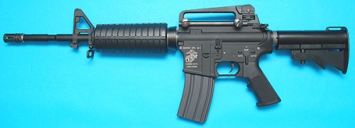 gp281 gp281
