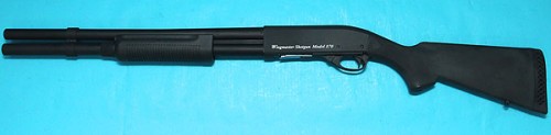 shg008 shg008